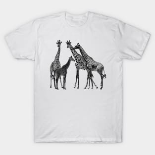 Giraffe - Family on Safari in Kenya / Africa T-Shirt